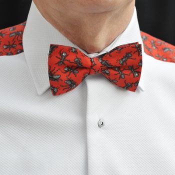 Ants Cotton Novelty Ready Tied Bow Tie